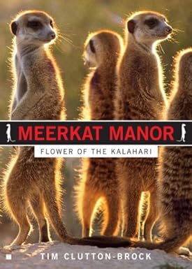 Meerkat Manor: Flower of the Kalahari (book)