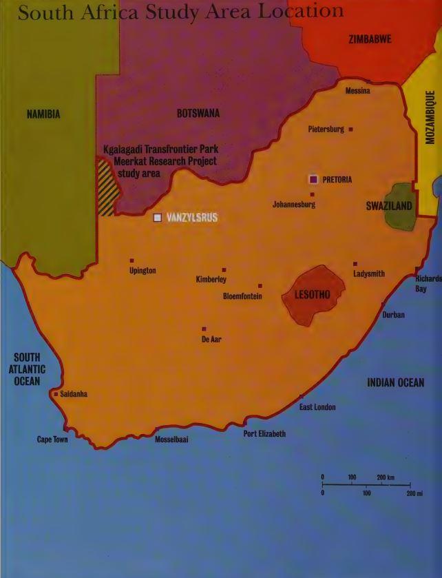 Meerkat Manor: Flower of the Kalahari (book)