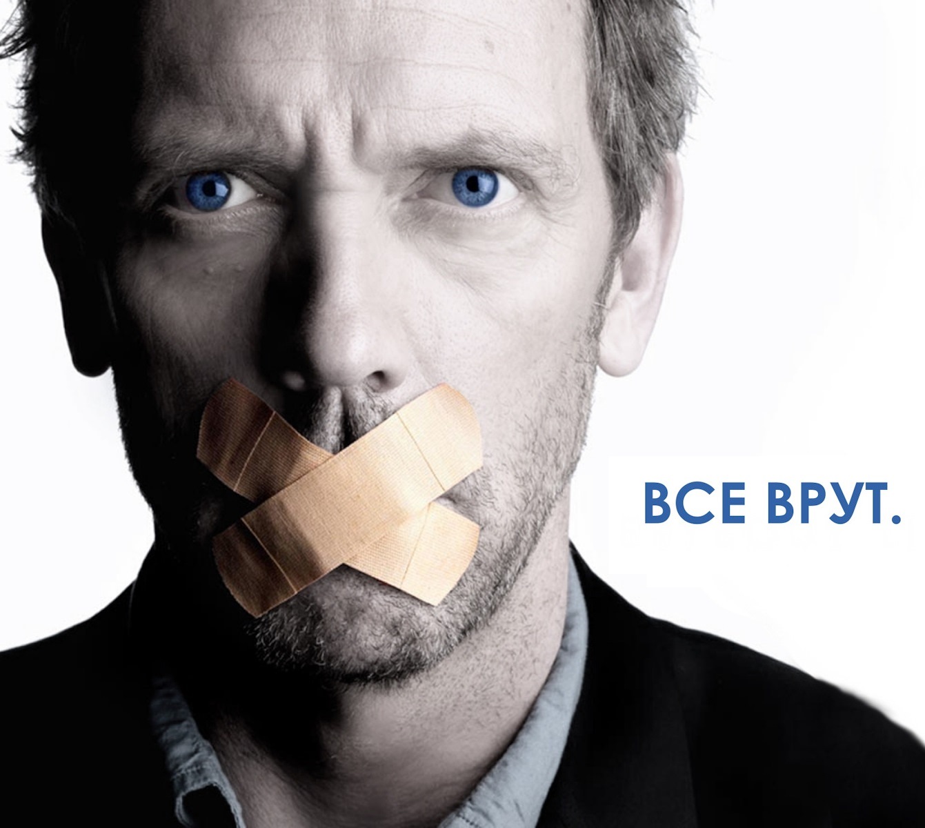 Причины не заводить суриката